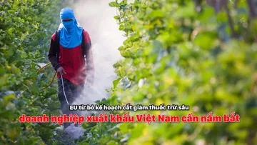 EU từ bỏ kế hoạch cắt giảm thuốc trừ sâu, doanh nghiệp xuất khẩu Việt Nam cần nắm bắt