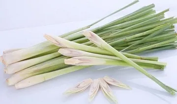 Cây sả với những lợi ích bất ngờ cho sức khoẻ