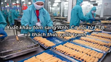Xuất khẩu tôm sang Anh: Cơ hội từ FTA và thách thức cạnh tranh