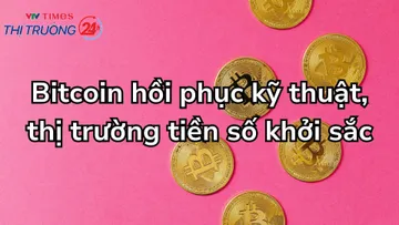 Bitcoin hồi phục kỹ thuật, thị trường tiền số khởi sắc