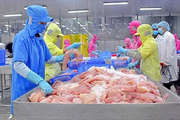 Cá tra Việt Nam 2025: Tăng tốc xuất khẩu trong vùng xoáy cạnh tranh mới