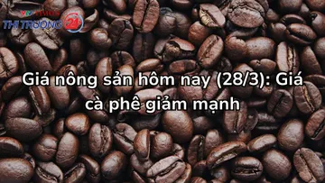 Giá nông sản hôm nay (28/3): Giá cà phê giảm mạnh