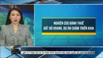 Tài chính kinh doanh sáng  - 26/5/2025