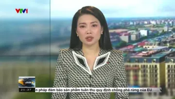 Tài chính kinh doanh tối  - 26/5/2025
