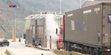 Lạng Sơn tăng tốc thông quan trái cây tươi xuất khẩu: Giải pháp chủ động trong mùa cao điểm