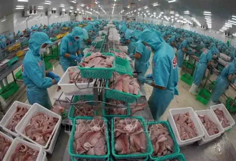 Việt Nam không bán phá giá sản phẩm cá tra tại Mỹ