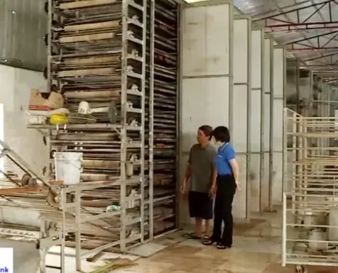 Khẩn trương khôi phục sản xuất làng nghề sau bão lũ