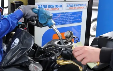 Nguồn cung xăng dầu dự kiến đáp ứng đủ nhu cầu sản xuất, tiêu dùng