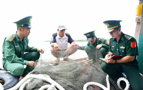 Tiền Giang: Bắt giữ 3 tàu cá đánh bắt vi phạm IUU