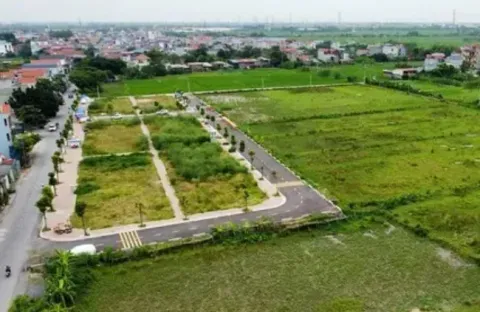 Sẽ dừng đấu giá đất nếu phát hiện hành vi thông đồng, dìm giá