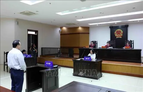 Chủ tịch Tập đoàn Tân Hoàng Minh Đỗ Anh Dũng xin giảm nhẹ hình phạt