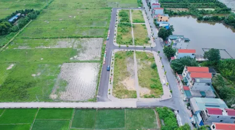Thị trường bất động sản bị méo mó vì đấu giá đất cao rồi bỏ cọc