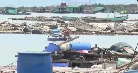Hơn 100 doanh nghiệp cam kết hỗ trợ phục hồi ngành chăn nuôi và thuỷ sản