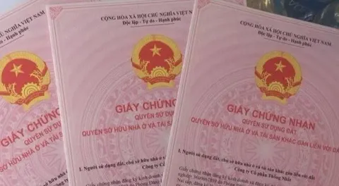 TP Hồ Chí Minh đẩy nhanh cấp sổ hồng cho các căn hộ vướng mắc
