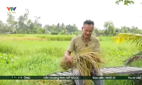 Bảo tồn nền văn hóa lúa mùa