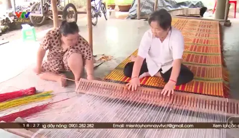Làng nghề dệt chiếu ở Trà Vinh