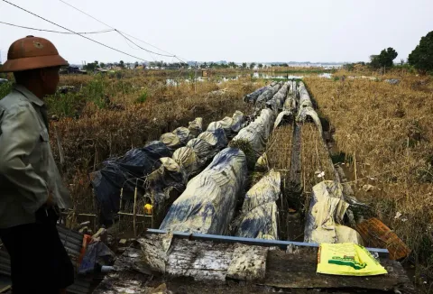 Khắc phục hậu quả bão lũ, khôi phục sản xuất kinh doanh