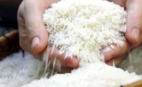 Giá gạo Nhật Bản tăng tới 40%