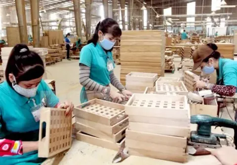 Xuát khẩu gỗ và lâm sản mang về 12,5 tỷ USD