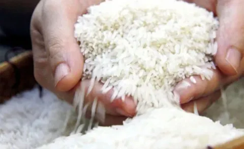 Giá gạo giảm mạnh nhất trong 16 năm