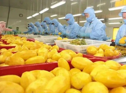 Điểm sáng xuất khẩu - Những mặt hàng tỷ đô