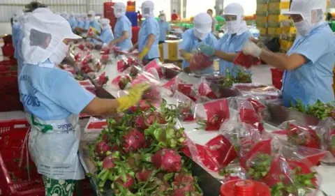 Giải quyết bài toán nguồn nhân lực chất lượng cao cho miền Tây