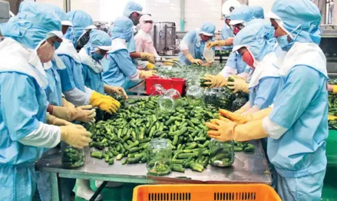 Nông sản Việt chinh phục thị trường châu Á