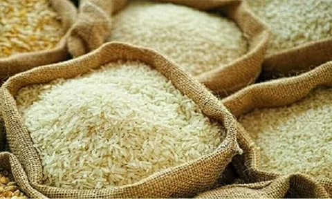Gạo Việt giữ lợi thế ở phân khúc cao cấp