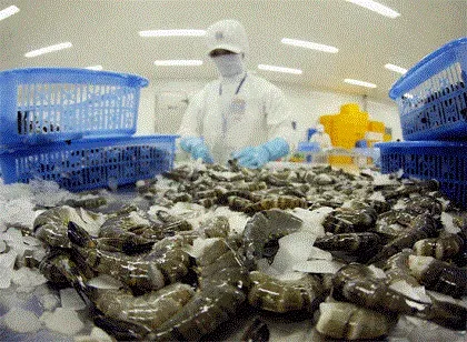Hướng đến thương hiệu và giá trị cho ngành tôm