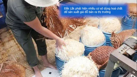 Đắk Đắk phát hiện nhiều cơ sở dùng hoá chất để sản xuất giá đỗ bán ra thị trường