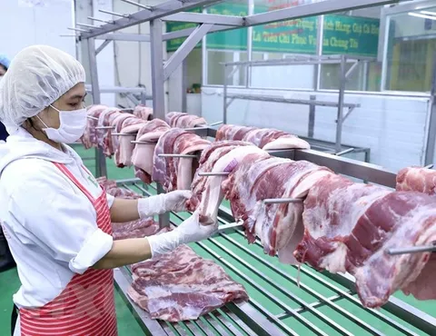 Thịt, trứng vào chợ, bếp ăn phải truy xuất được nguồn gốc