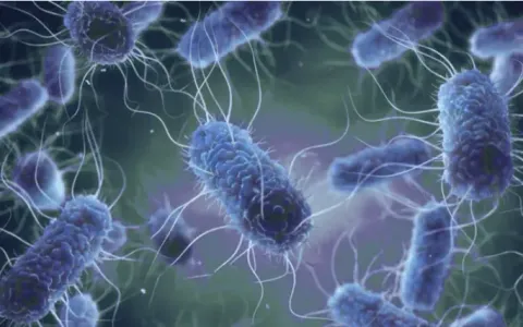 Ba bác sĩ nghi nhiễm E.Coli tại Hong Kong (Trung Quốc)