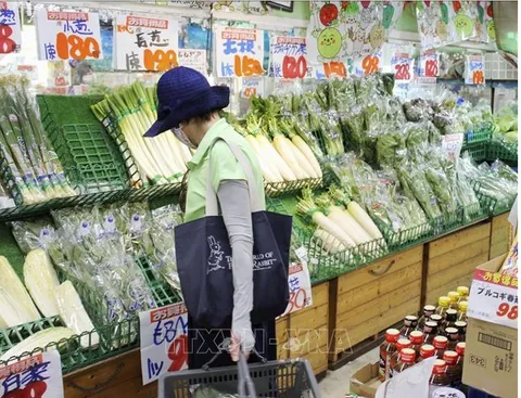 Lạm phát tại Nhật Bản có khả năng lên mức cao nhất trong 17 tháng