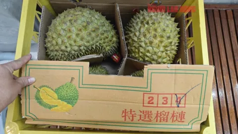 Xuất khẩu sầu riêng đông lạnh sang Trung Quốc: Kỳ vọng nửa tỷ USD vẫn còn xa vời