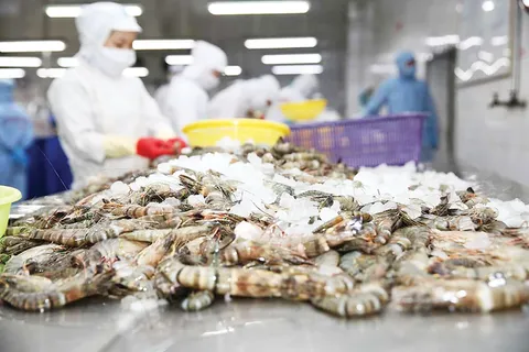 Việt Nam xuất khẩu tôm đến 107 thị trường