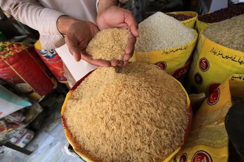Giá gạo Ấn Độ giảm mạnh, Việt Nam giữ xu hướng tăng nhẹ