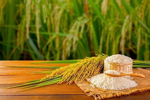 Thị trường gạo sẽ có thêm tín hiệu tích cực
