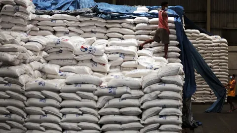 Việt Nam vẫn là nguồn cung gạo nhập khẩu hàng đầu cho Philippines
