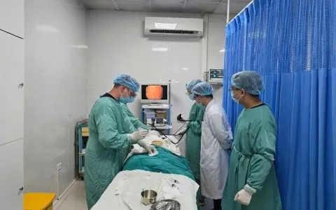 Cung ứng đủ thuốc cho công tác khám chữa bệnh và phòng chống dịch bệnh trong mùa Xuân - Hè