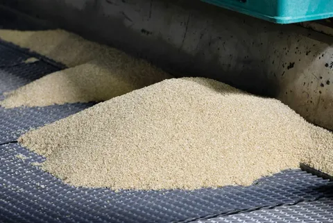 Nhật Bản giải phóng kho dự trữ để "xoa dịu" giá gạo