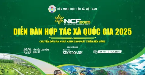 Diễn đàn Hợp tác xã Quốc gia 2025: Tăng tốc chuyển đổi xanh, bứt phá phát triển bền vững