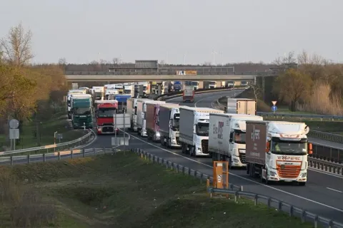 Hungary không loại trừ dịch lở mồm long móng do "virus nhân tạo" gây ra