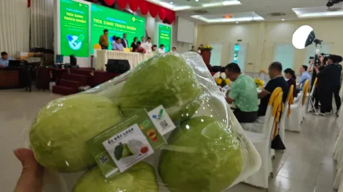 Trái cây giá mềm vẫn được gắn “Tích xanh trách nhiệm”