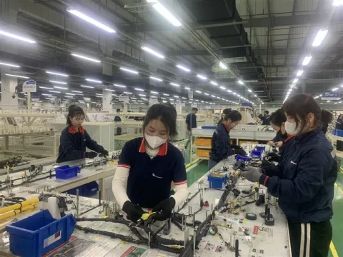 Nhiều doanh nghiệp tại Nghệ An gấp rút tuyển số lượng lớn lao động, thu nhập cao