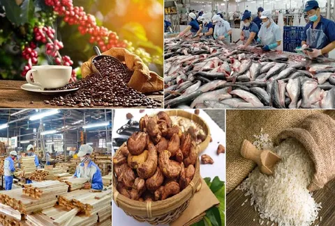 Điều chỉnh chiến lược xuất khẩu nông lâm thủy sản
