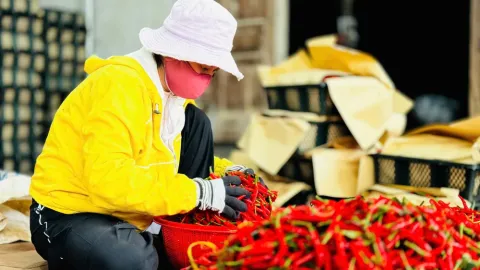 Thêm 4 sản phẩm sắp được xuất khẩu chính ngạch sang Trung Quốc