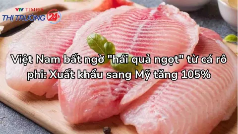 Việt Nam bất ngờ "hái quả ngọt" từ cá rô phi: Xuất khẩu sang Mỹ tăng 105%