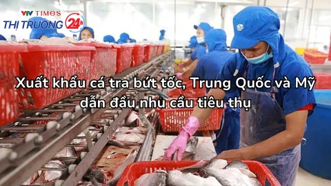 Xuất khẩu cá tra bứt tốc, Trung Quốc và Mỹ dẫn đầu nhu cầu tiêu thụ