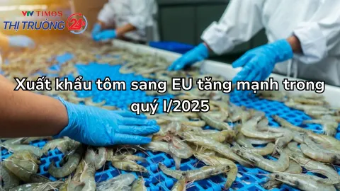 Xuất khẩu tôm sang EU tăng mạnh trong quý I/2025