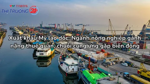 Xuất khẩu Mỹ lao dốc: Ngành nông nghiệp gánh nặng thuế quan, chuỗi cung ứng gặp biến động